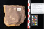 Foto (Objekt + Etikett) von Quercus palaeoilex Ettingshausen (NHMW-GEO-2024-0188-0814)